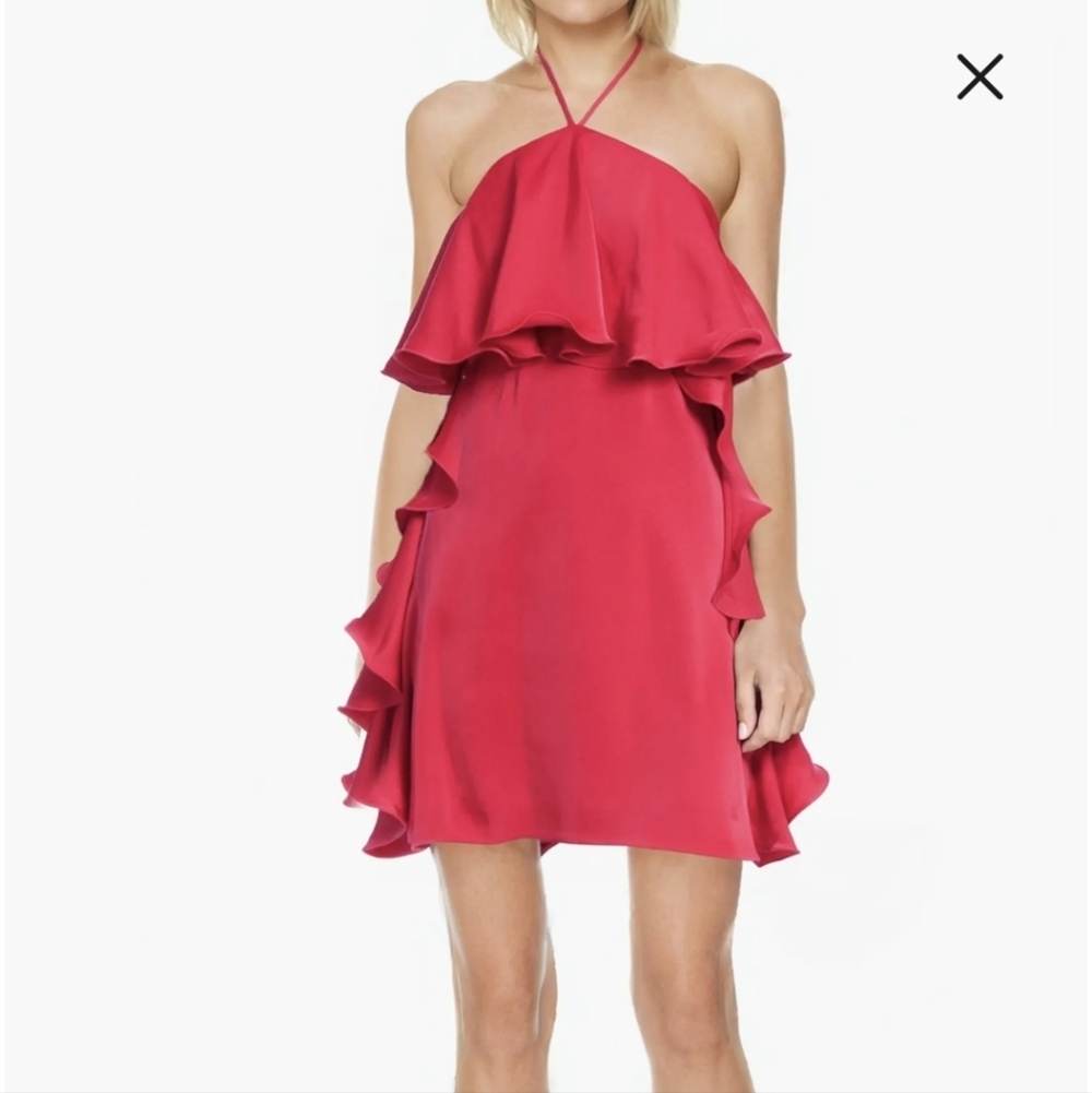 Badgley Mischka Dress 14 Amelia Ruffle Popover NWT $228